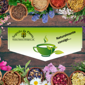 Plantas Aromáticas e Medicinais Convencionais